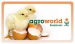 6-я Центрально-Азиатская  Международная выставка AgroWorld  Kazakhstan 2011