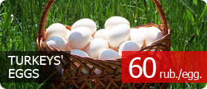 Turkeys' eggs 60 rub/egg